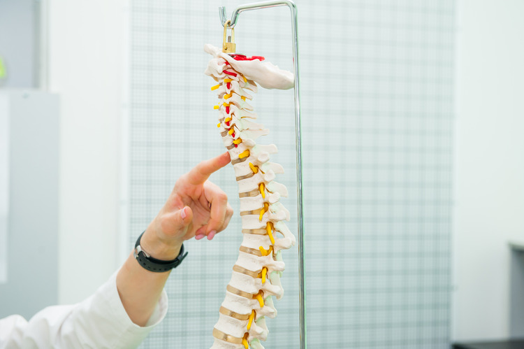 chiropractor toronto